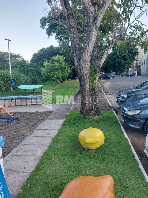 Apartamento, 2 quartos, 35 m² - Foto 8